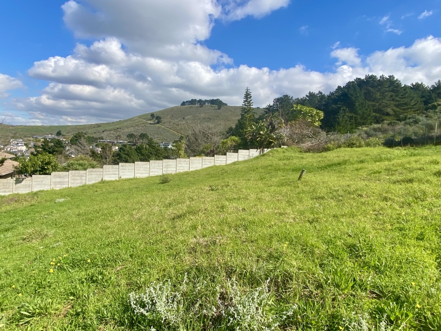 0 Bedroom Property for Sale in Oude Westhof Western Cape